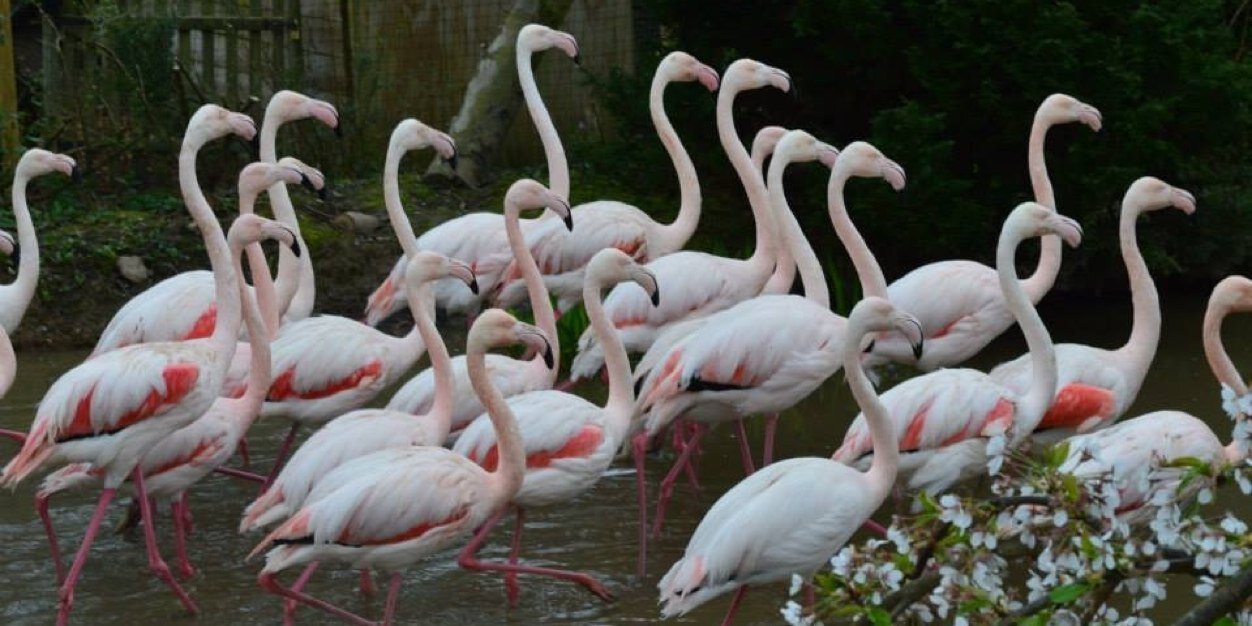 Axe Valley Park banner