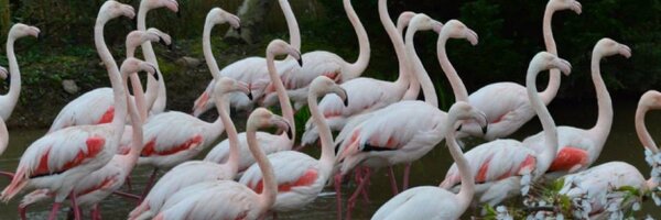 axevalleypark Profile Banner