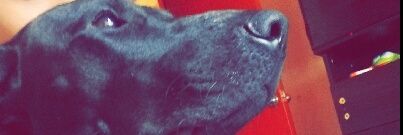 Laurave97's profile banner image