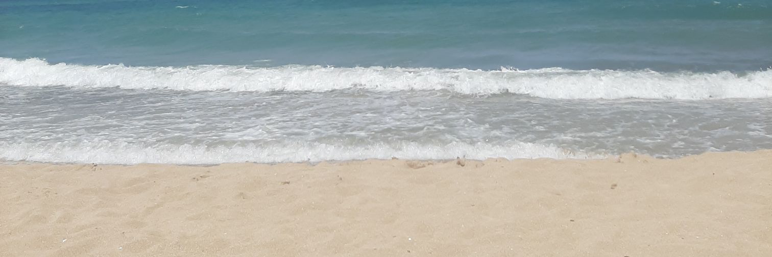 Titti's banner