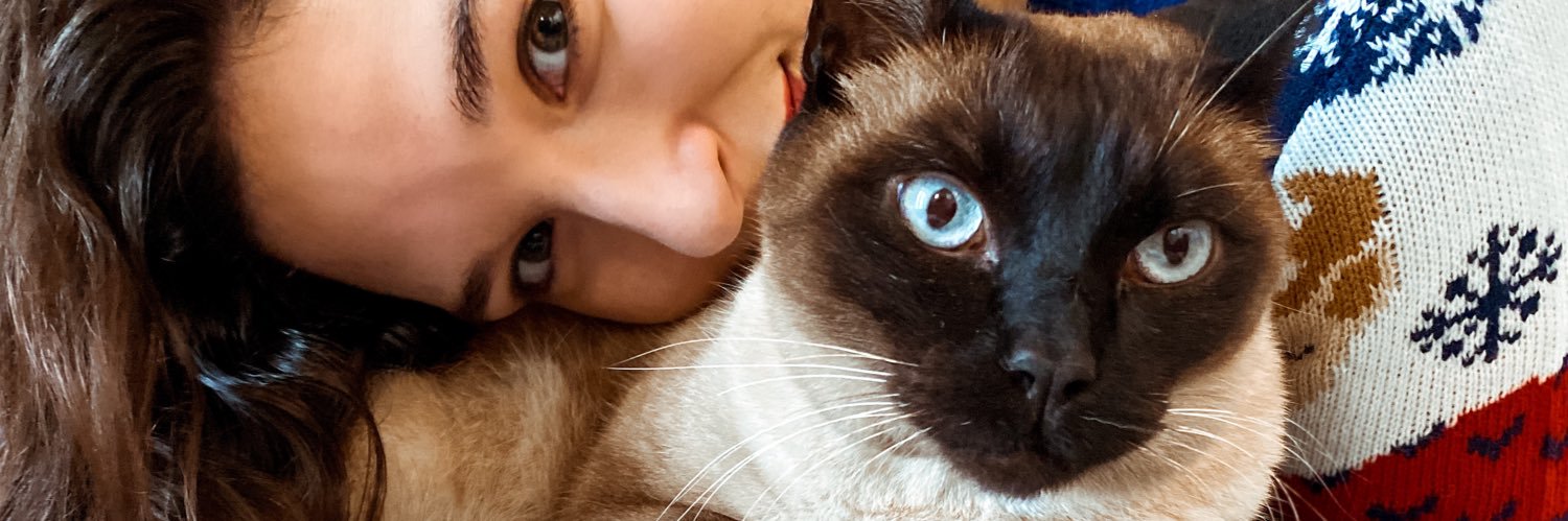 _sofialourenco's profile banner image