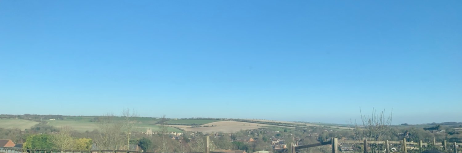 Daisy ffrench Davis banner