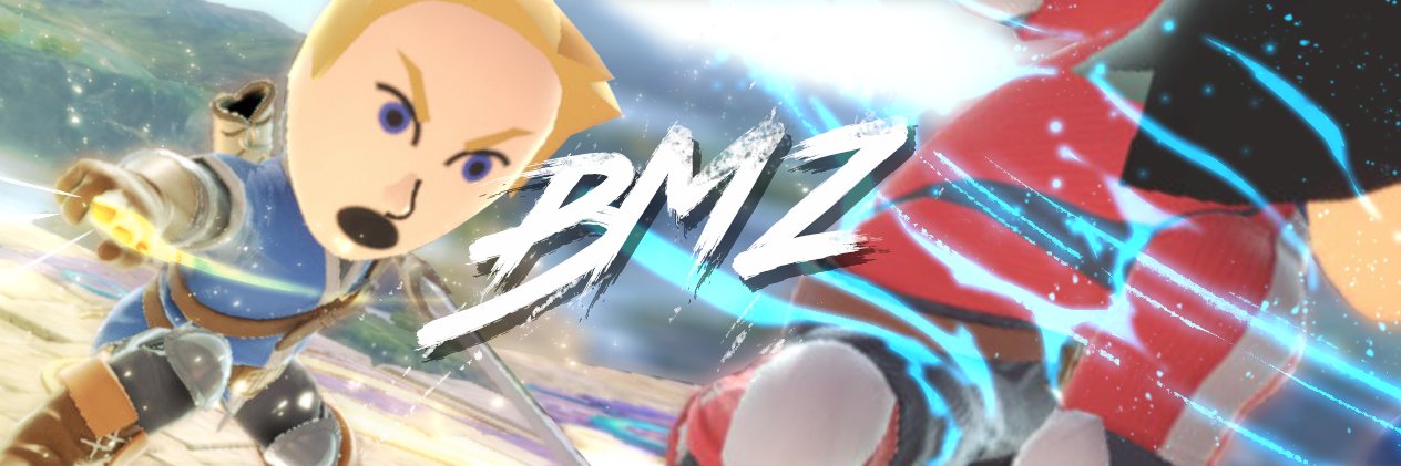 BMZ banner