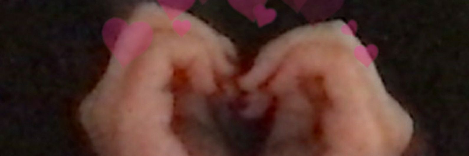 uriivs's profile banner image