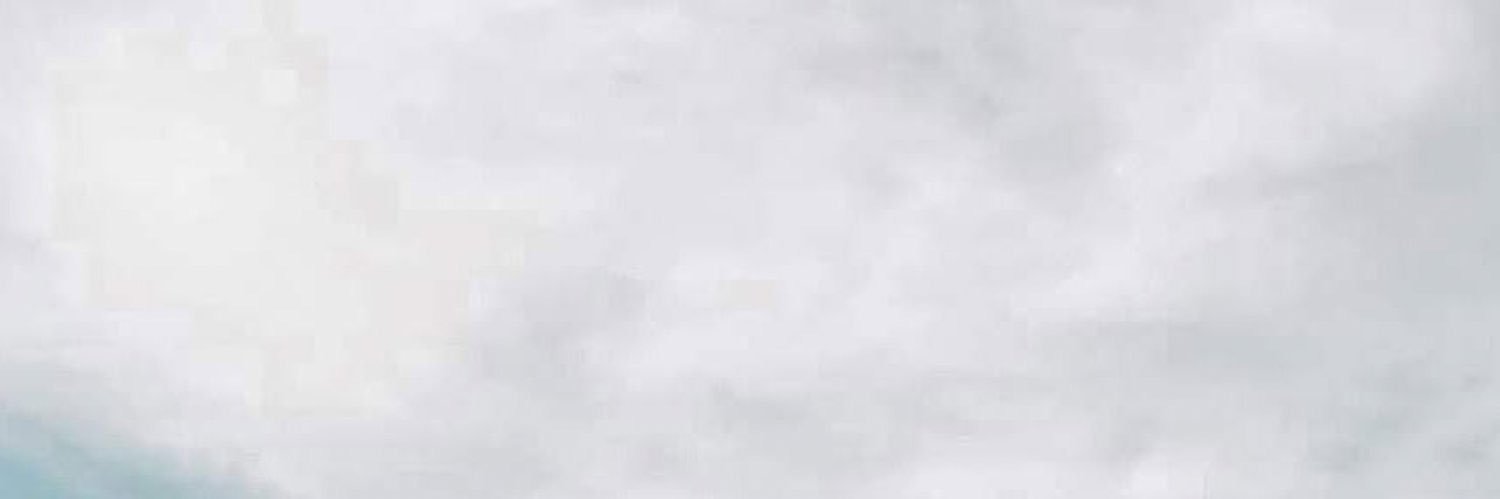 stormbutera's profile banner image