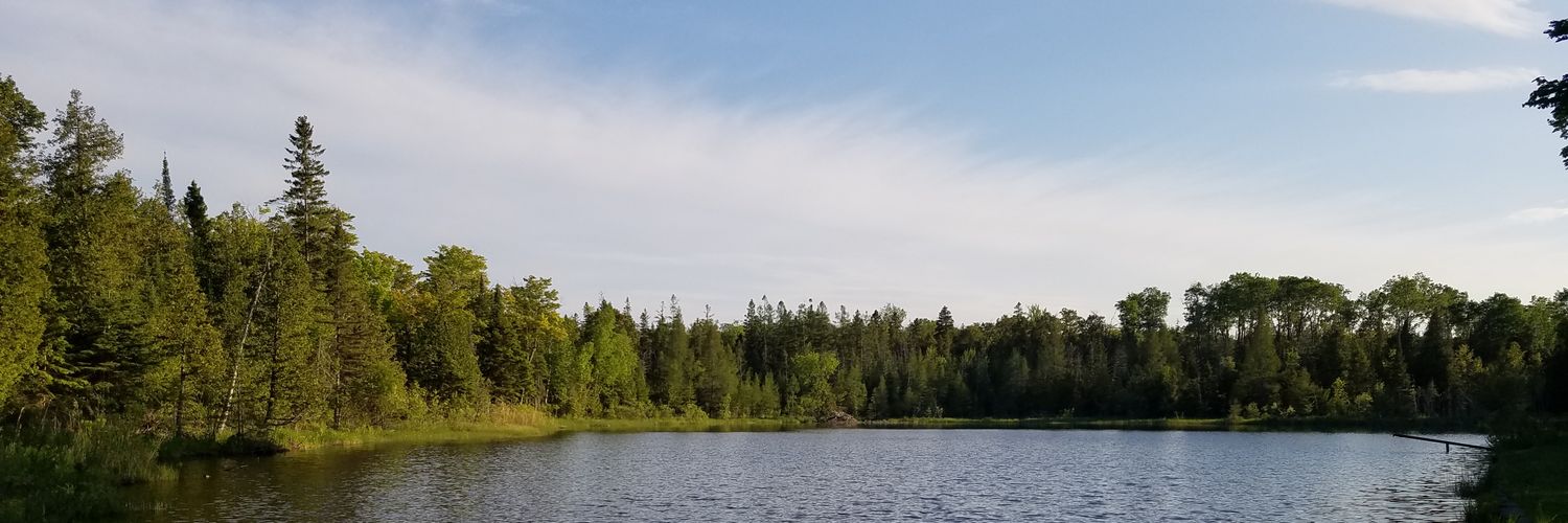 rosefireflys's profile banner image