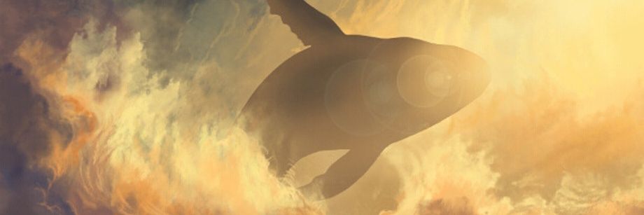 TOA__0706's profile banner image