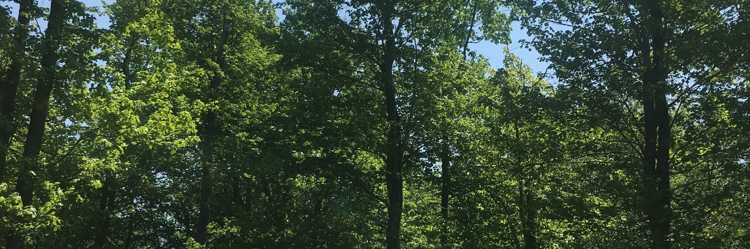 judithbreath's profile banner image