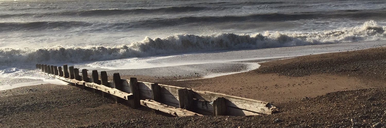 Cathy Wilkinson banner