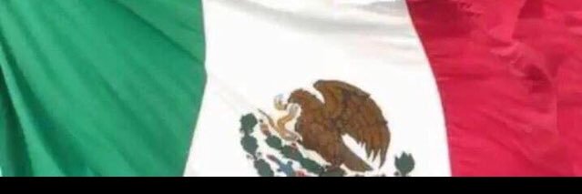 Maria Luisa Suárez banner