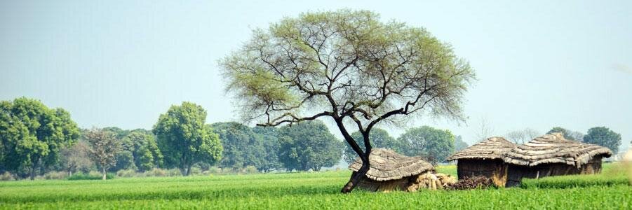yamini's profile banner image