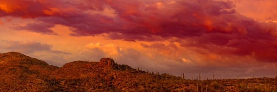 kwalsh212's profile banner image