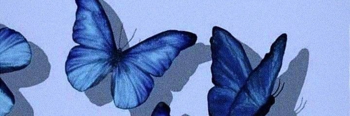 thepurplesky13's profile banner image