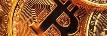Fenou Fredy banner