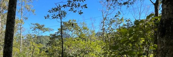 analima654 Profile Banner