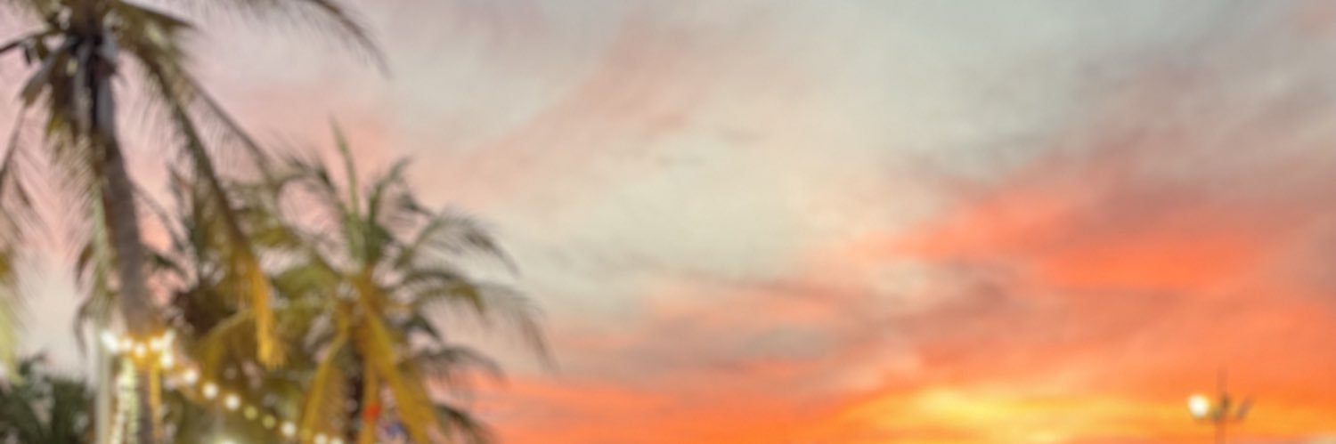 karlaPcardozo's profile banner image