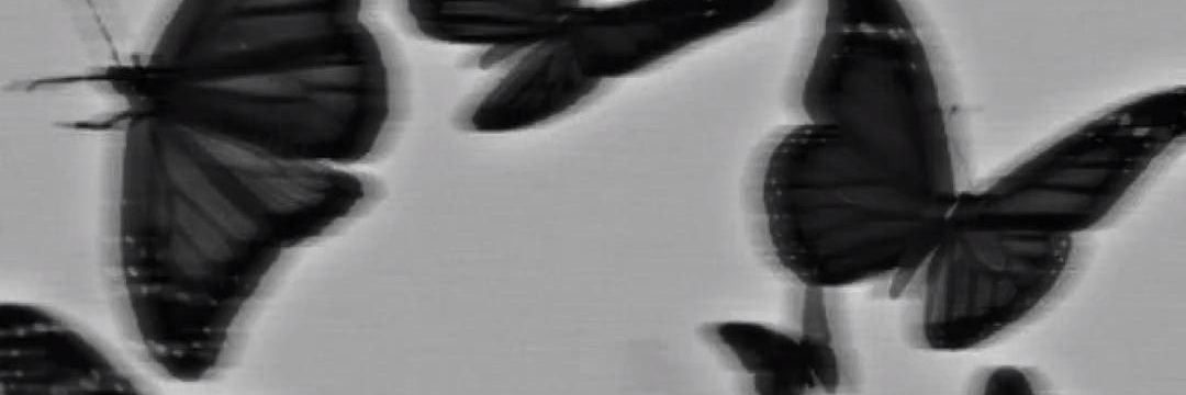 _marguaxe's profile banner image