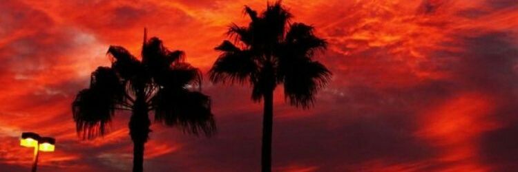 serhatkrz's profile banner image