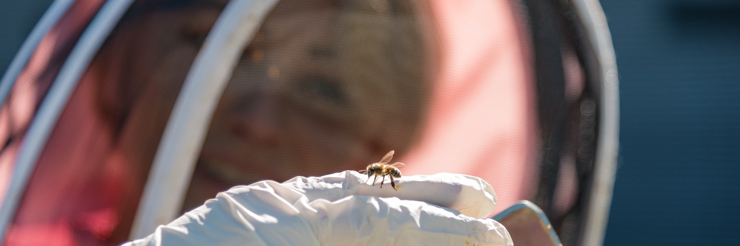 Wings & Radicles banner