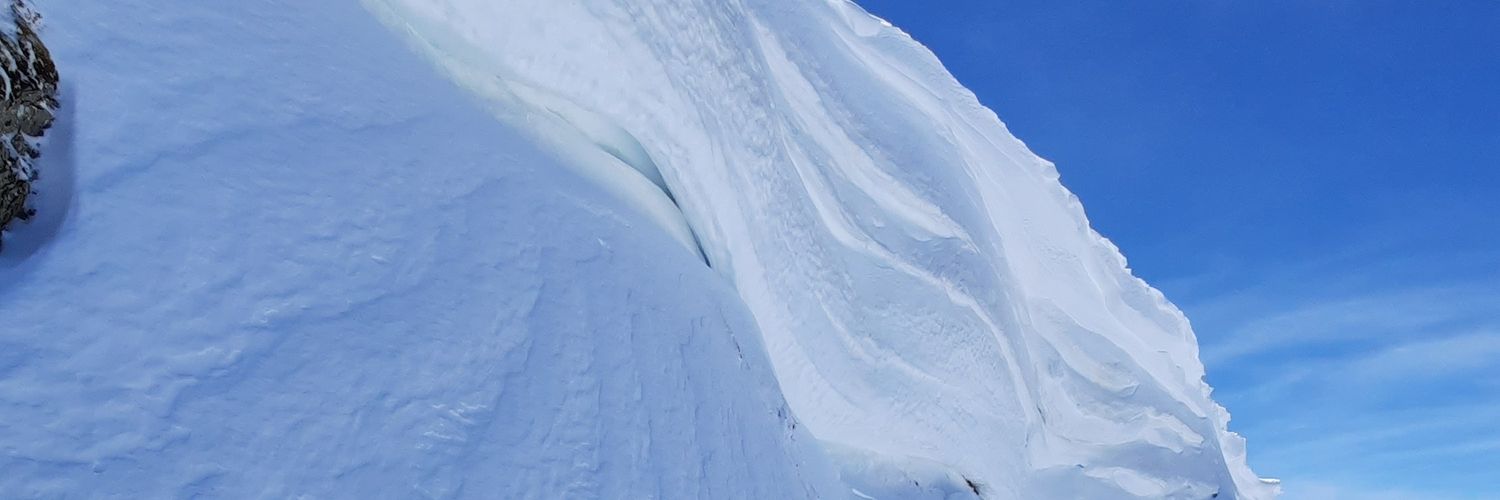nosoperi's profile banner image