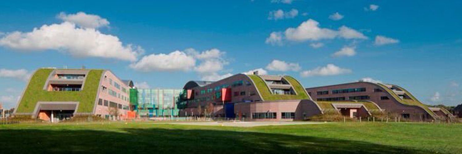 Alder Hey Safeguarding & Statutory Services banner