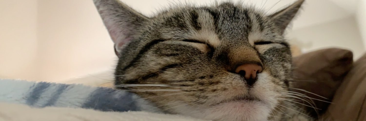 jbshultz2006's profile banner image