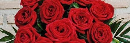 deyci_barrera's profile banner image