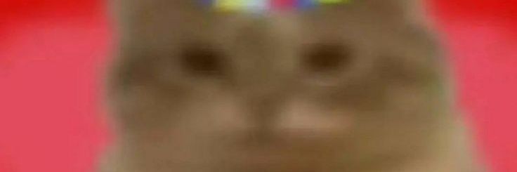 ZappyZapZopZip's profile banner image
