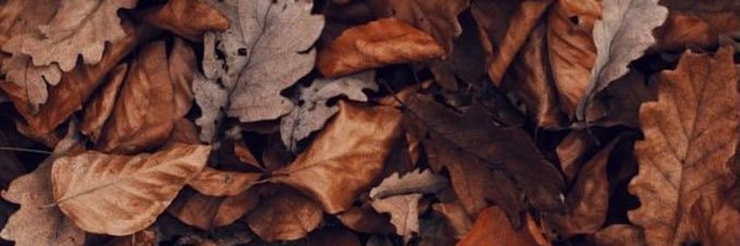 ruthdios_'s profile banner image
