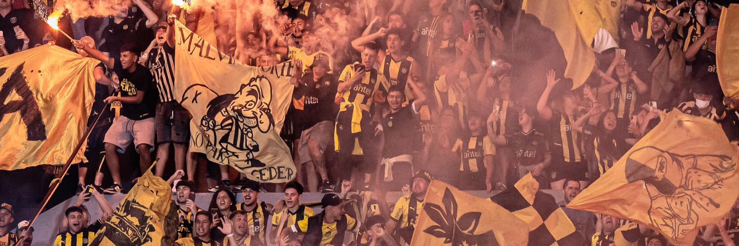 francisco Toyos banner