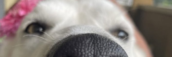 DocKmano's profile banner image
