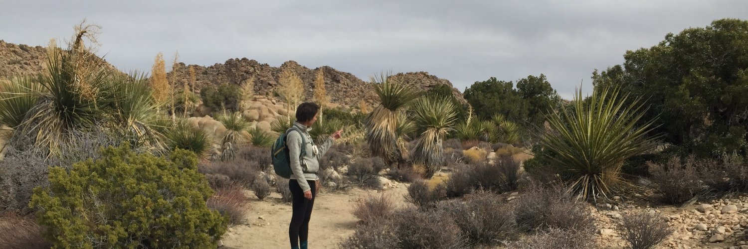 sarahlasoff's profile banner image