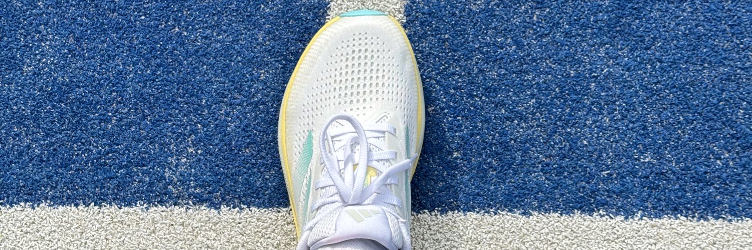 Daniel Gardea banner