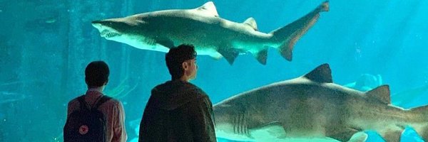 sunhoshilix Profile Banner