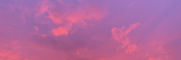 jessicaspr Profile Banner