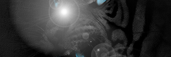 Infinity2Space Profile Banner