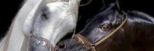 bdor73's profile banner image