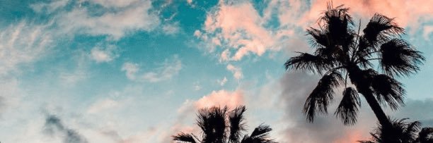 danivillaa's profile banner image