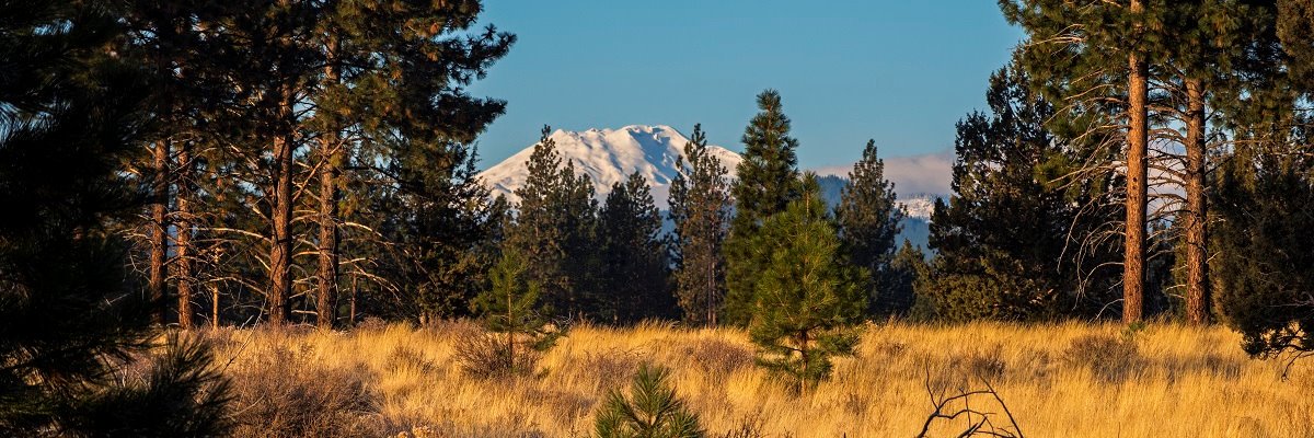 Discovery West banner