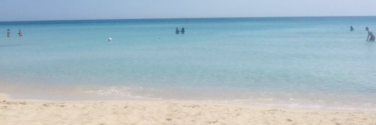 Catone☮️ 🏳️✌️ #Antifascista #PeaceAndLove banner