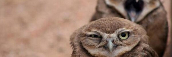 Rodolfo666_95 Profile Banner