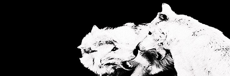HUNTEDD0WN's profile banner image