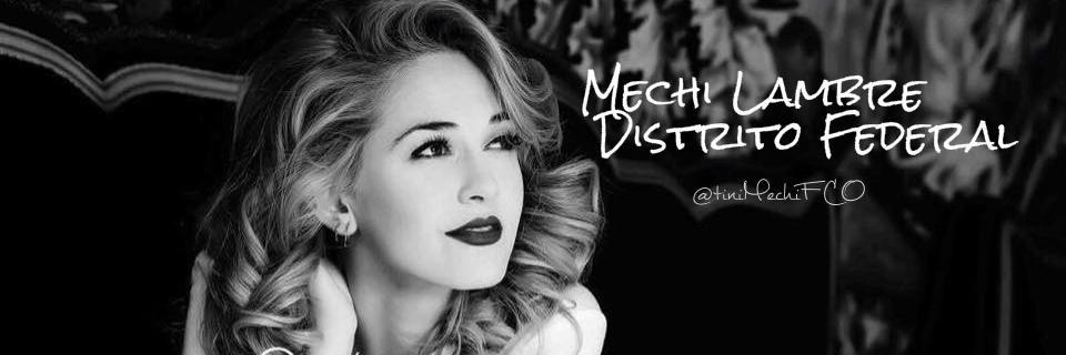 TiniMechiFCO's profile banner image