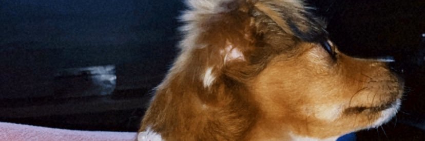 bgnathalia's profile banner image