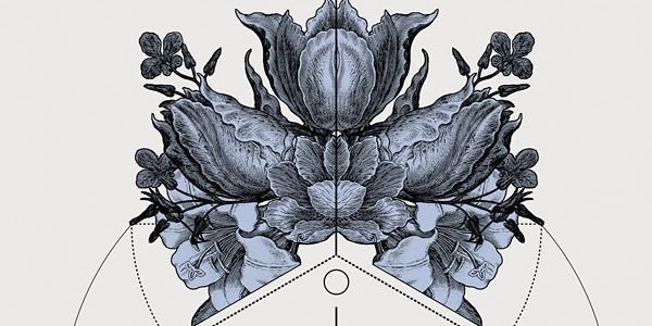 TheFalsafchi's profile banner image