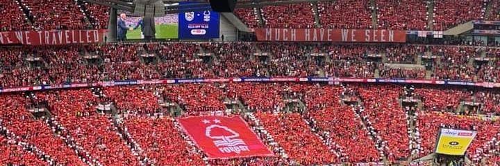 David Wilds banner