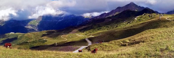 latitestella Profile Banner