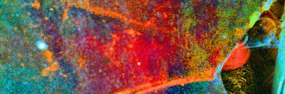 OhMyGodSeriousl's profile banner image