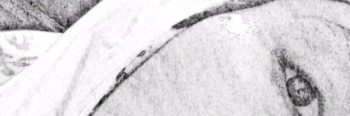 Wuland_Tan's profile banner image