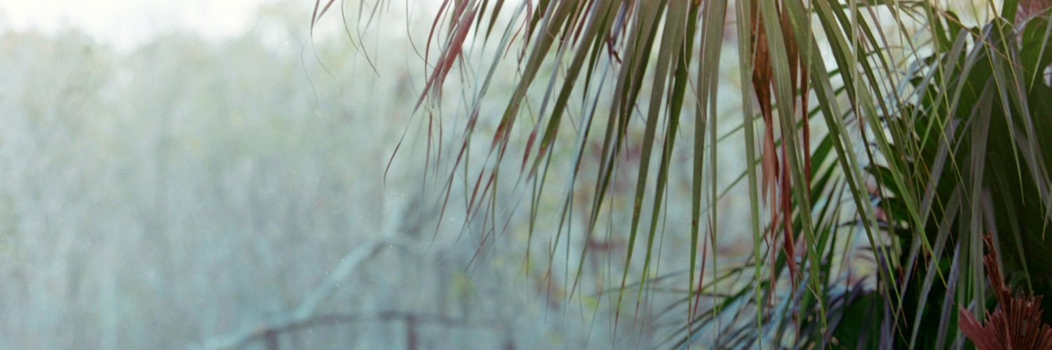 zachsable's profile banner image
